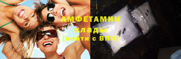 стаф Кущёвская