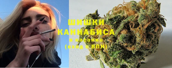 дмт Михайловск