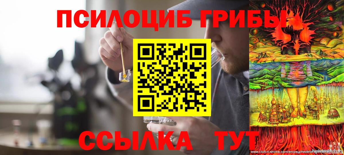 Галлюциногенные грибы прущие грибы Бердск