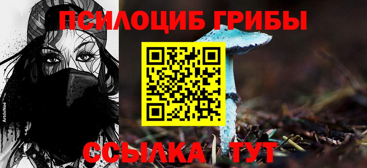 Галлюциногенные грибы GOLDEN TEACHER Бердск