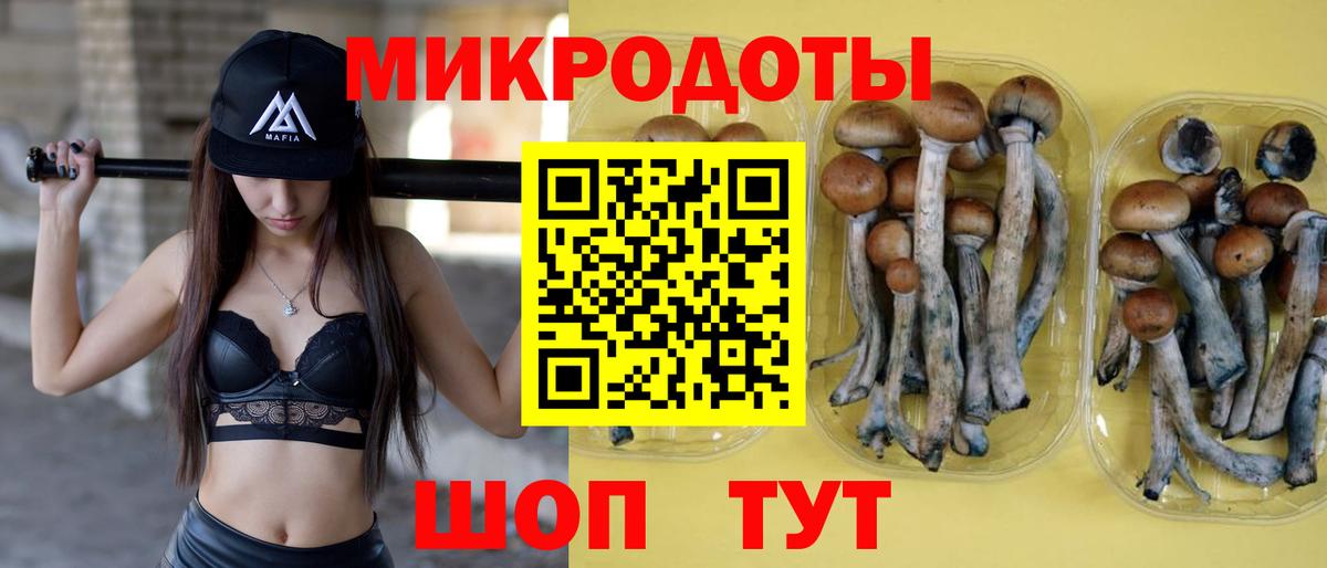 Псилоцибиновые грибы MAGIC MUSHROOMS  цены   Бердск  Вход с VPN 