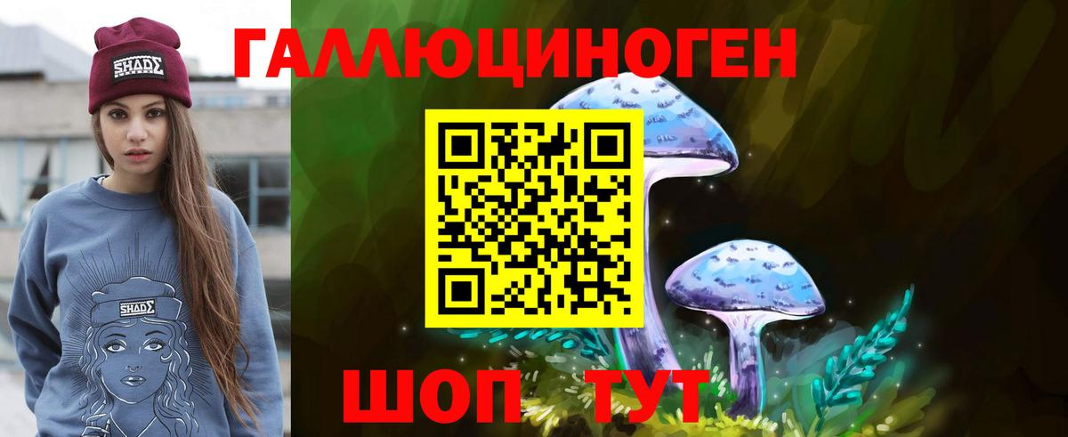 Псилоцибиновые грибы Psilocybine cubensis  Бердск  Галлюциногенные грибы Psilocybe 